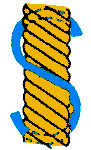ǲ(Sǲ) 